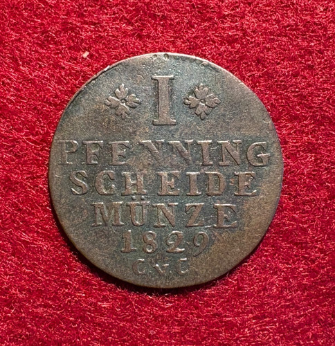 Braunschweig pfennig 1829 - pfennig,